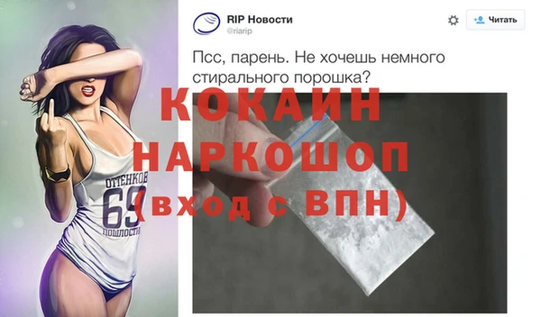 индика Дмитров