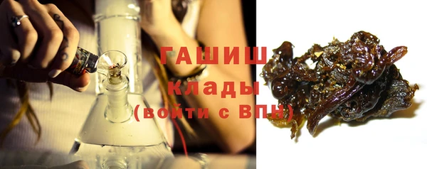 индика Дмитров