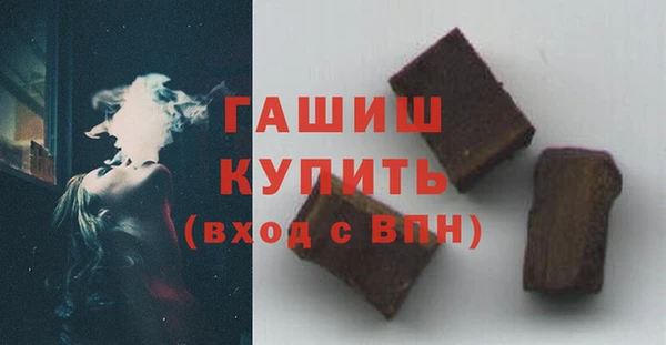 индика Дмитров