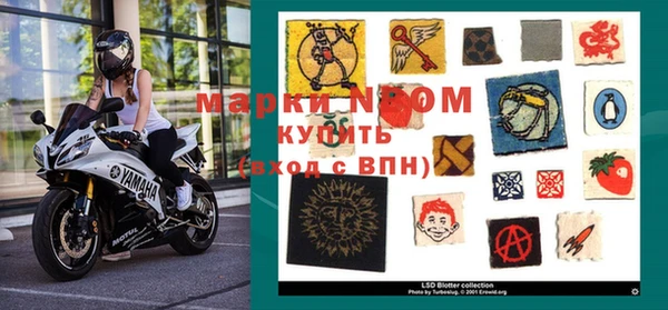 индика Дмитров