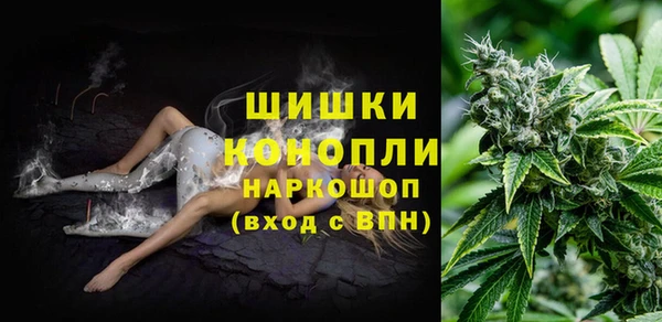 индика Дмитров
