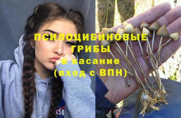 COCAINE Дмитриев