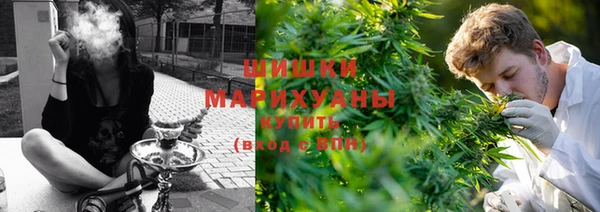 индика Дмитров