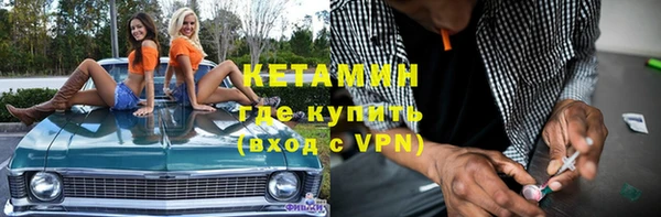 индика Дмитров