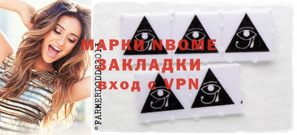 индика Дмитров