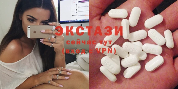 индика Дмитров