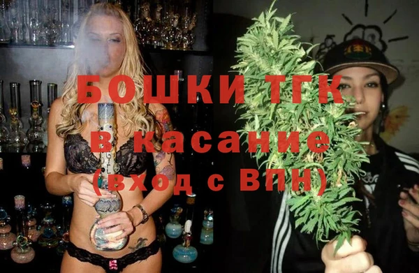 индика Дмитров