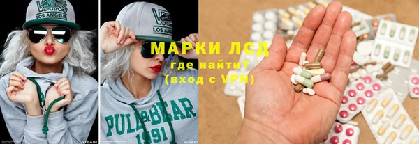 индика Дмитров