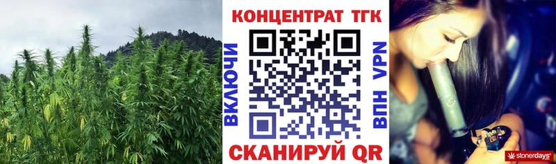 ссылка на мегу зеркало  Камышлов  ТГК концентрат 