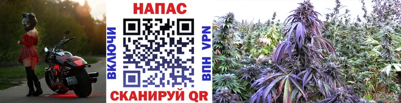 kraken как войти  Камышлов  Марихуана LSD WEED 
